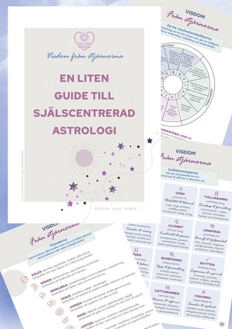Astrologisk vägledning